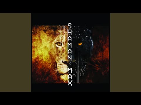 Shaman & Max - Sombre mélancolie видео (клип)