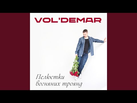 Vol'demar - Онлі фо ю (інструментал) видео (клип)