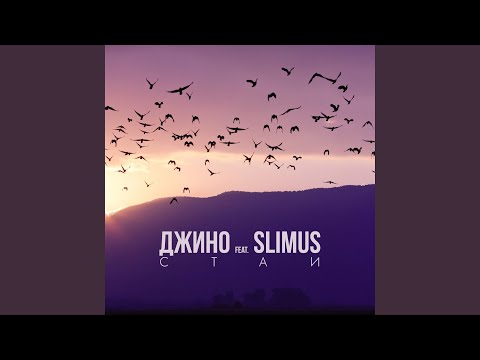 Джино, SLIMUS - Стаи видео (клип)