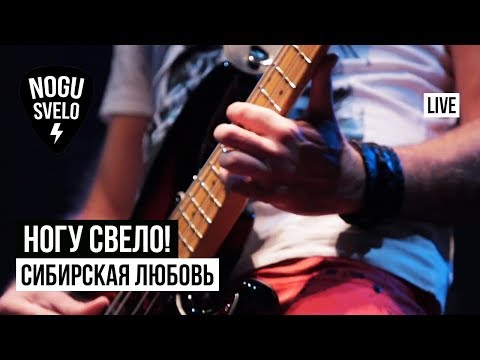 Ногу Свело! - Сибирская Любовь (Live 2019) видео (клип)