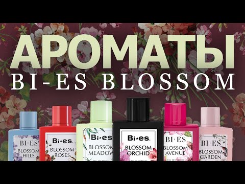 Blossom - Подонки видео (клип)