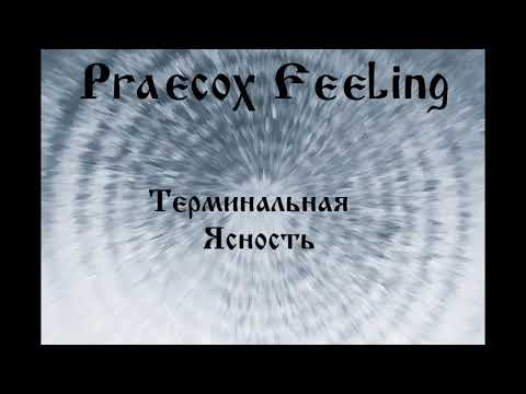 praecox feeling - Фантомная ревность видео (клип)