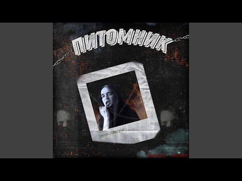 TROUBLEDD - Для моих братьев (Outro) видео (клип)