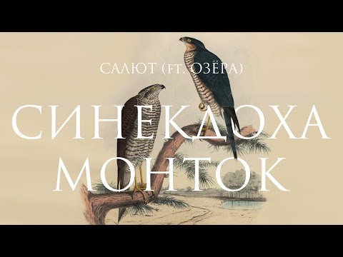 Синекдоха монток & ОЗЁРА - Салют (feat. ОЗЁРА) видео (клип)