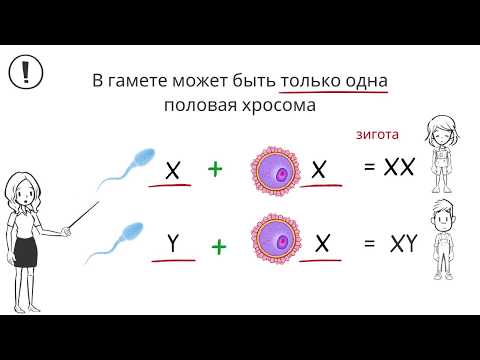 Хромосомы - Вряд Ли видео (клип)