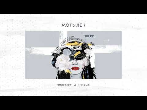 Звери - Мотылёк видео (клип)