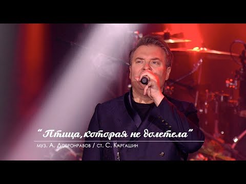 Александр Добронравов - Птица, которая не долетела (Live) видео (клип)