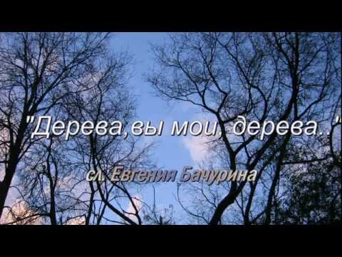 Евгений Бачурин - Дерева видео (клип)