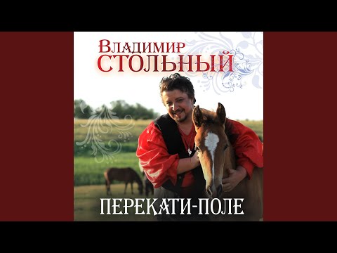 Владимир Стольный - Поезд жизни нашей видео (клип)