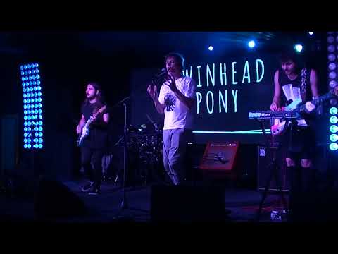 Twinhead Pony - Москва видео (клип)