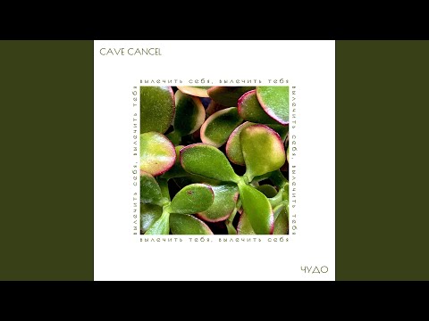 cave cancel - Чудо видео (клип)