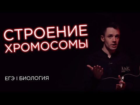 Хромосомы - На Глубине видео (клип)