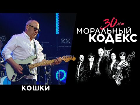 Моральный кодекс - Кошки видео (клип)