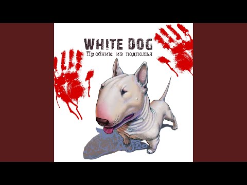 White Dog - О себе (prod. by Kangol) видео (клип)