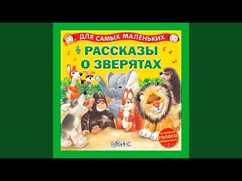 Светлана Силантьева, Дмитрий Силантьев, Екатерина Зацепина - Зелёный дятел видео (клип)