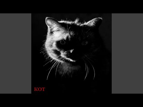 Кот - Оркестровая видео (клип)