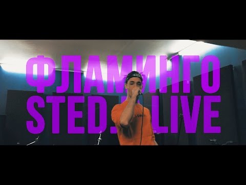 STED.D - Фламинго видео (клип)