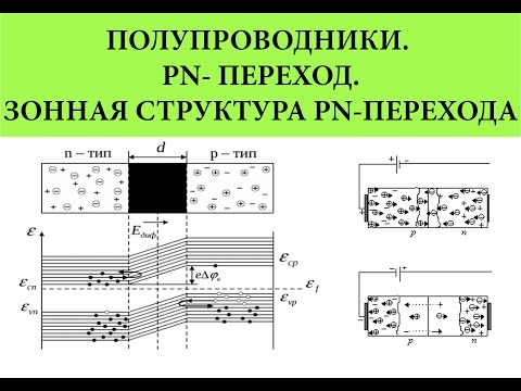 Fread, T6N6BRA6 - Сотня сотен видео (клип)